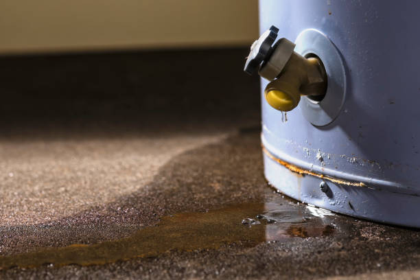 Best Water damage mitigation services  in Berkshire Lakes, FL