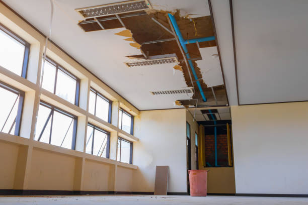 Best Fire Damage Restoration  in Berkshire Lakes, FL