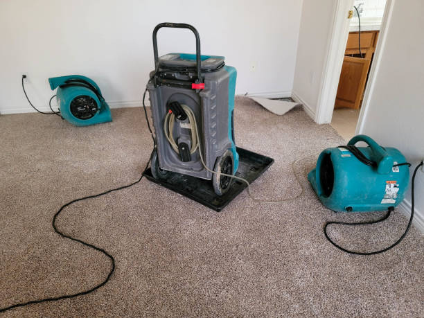 Best Water damage cleanup near me  in Berkshire Lakes, FL