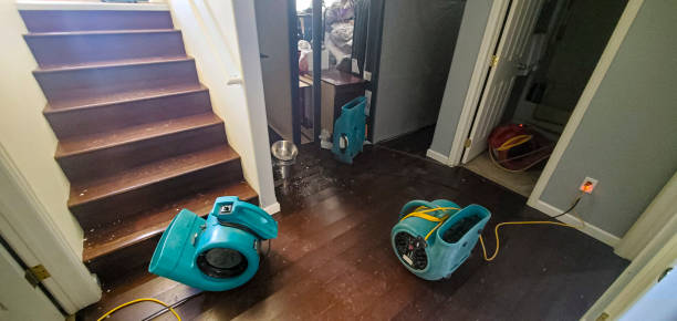 Best 24-hour water damage restoration  in Berkshire Lakes, FL