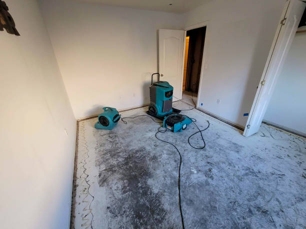 Best Flood restoration services  in Berkshire Lakes, FL
