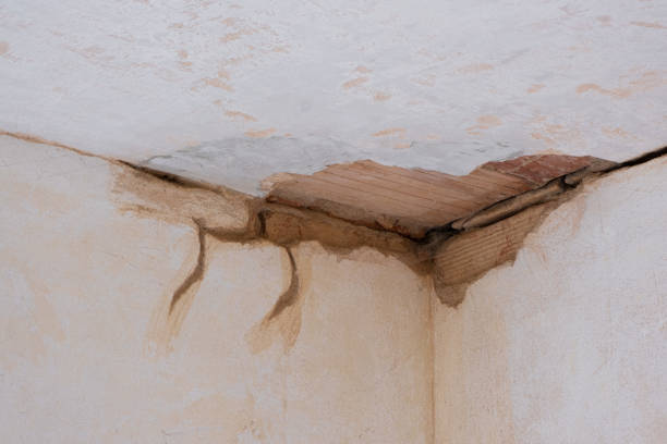 Best Water damage contractors near me  in Berkshire Lakes, FL