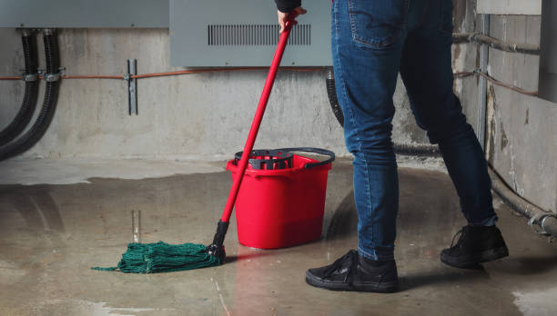 Best Flood damage cleanup  in Berkshire Lakes, FL