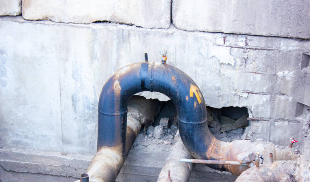 Best Basement water damage restoration  in Berkshire Lakes, FL